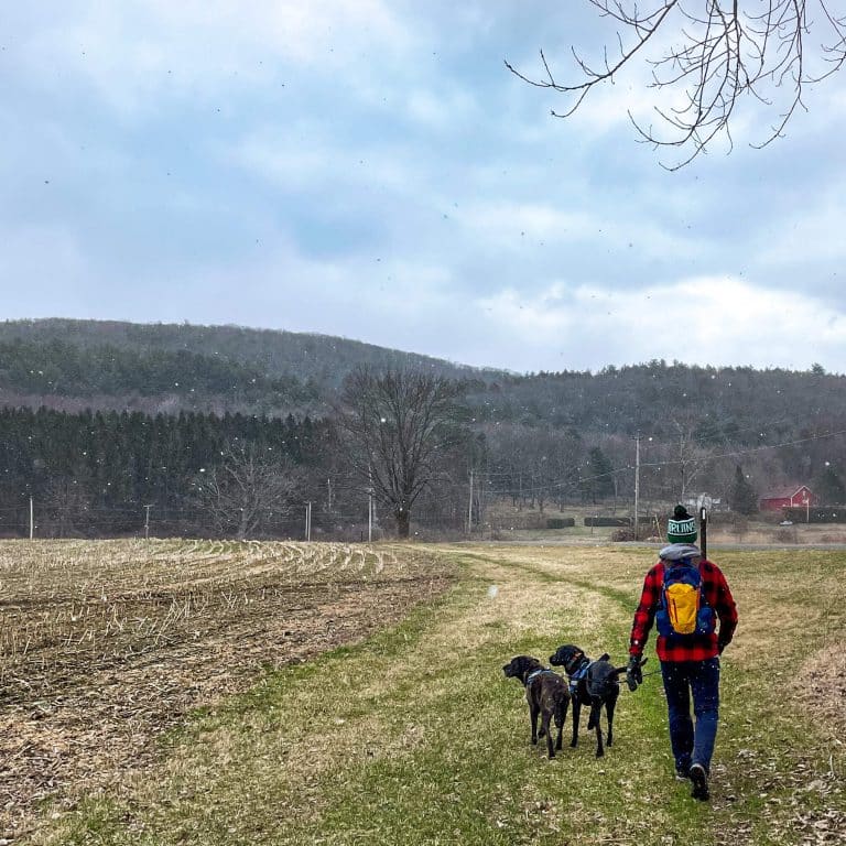 10 mile AT stretch in Southern Berkshires