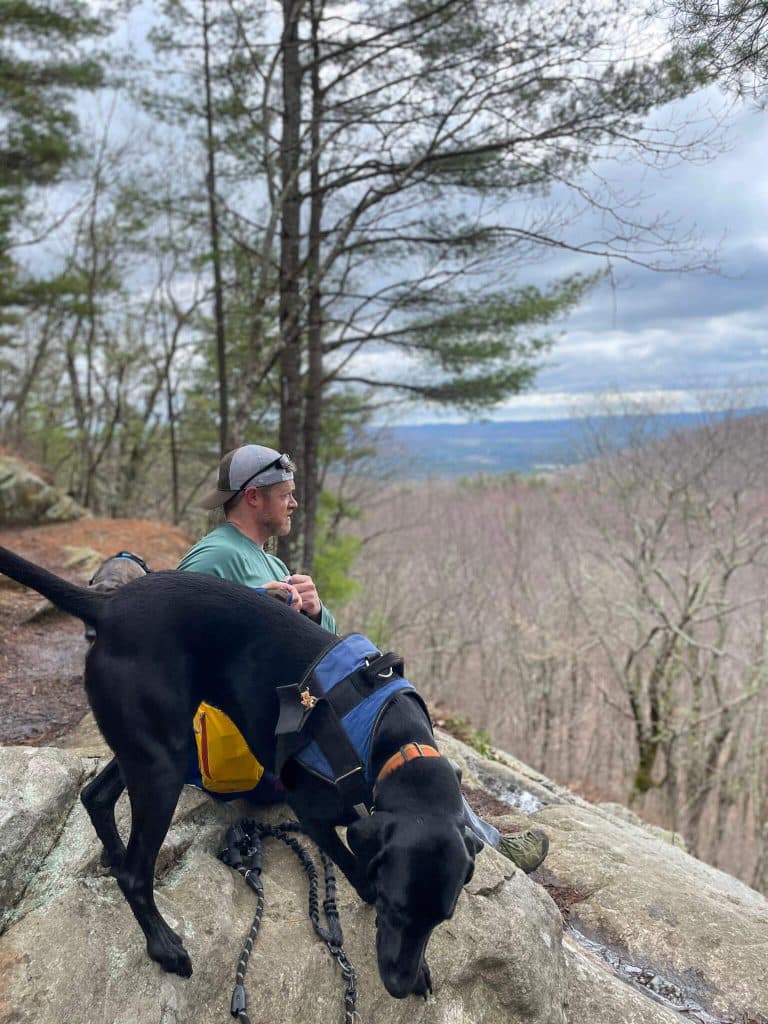 So. Berkshires AT Hike, Beartown State Forest