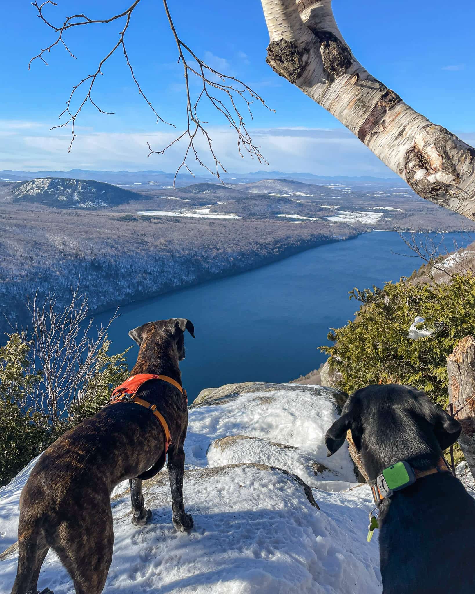 Mount Pisgah Vermont