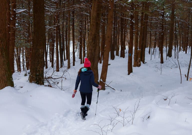 When to Wear Snowshoes vs Micro Spikes on a Hike!