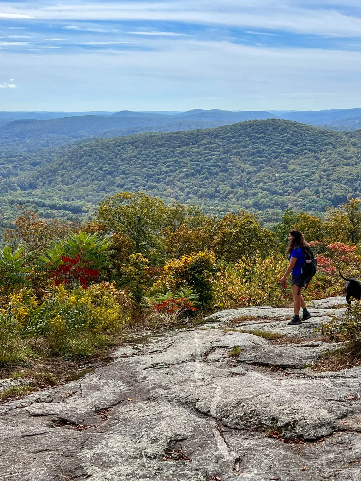 woman in blue t-shirt looking out at a view and brown dog on mountaintop in connecticut in early fall with rolling green and yellow hills and trees in the distance and blue skies above.