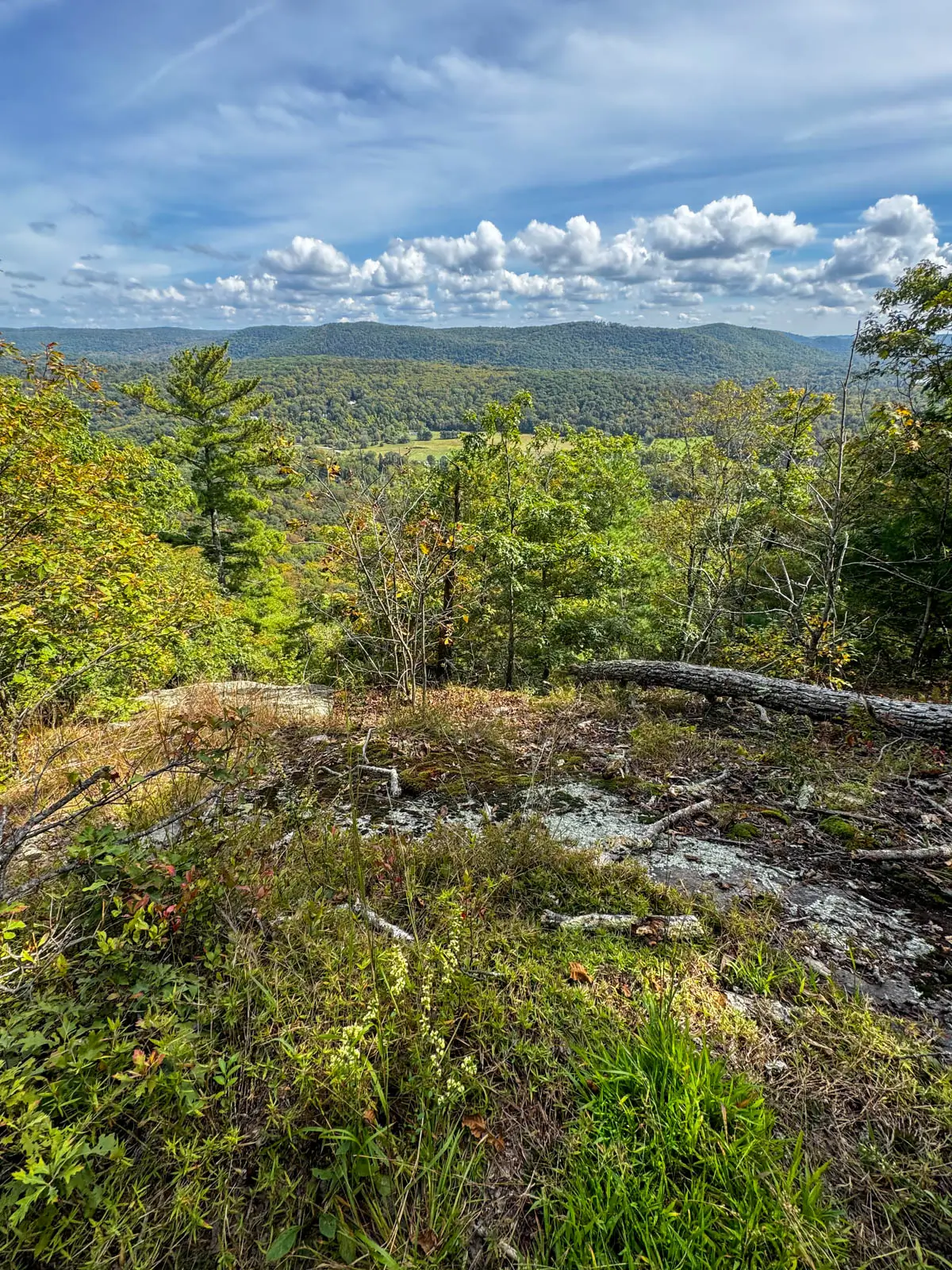 view from a hike on the appalachian trail in summer with green trees and hills in the distance and blue skies with fluffy white clouds above.