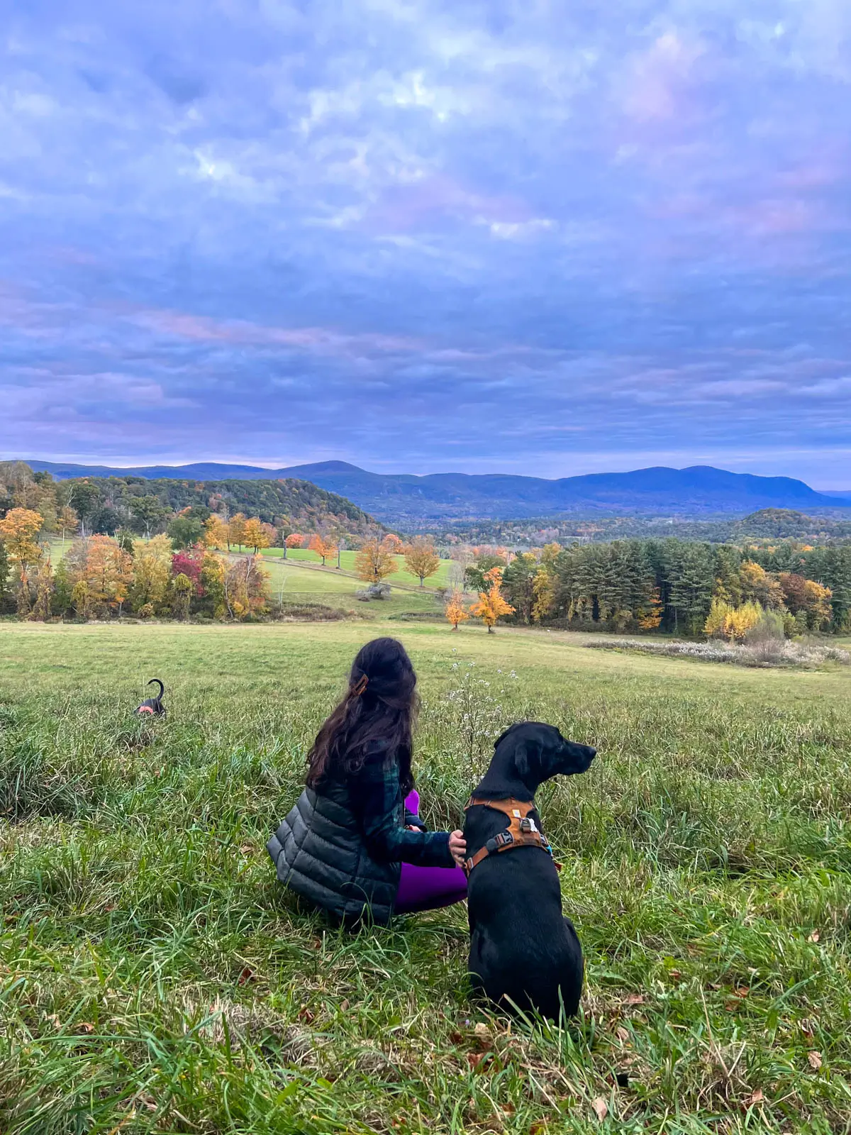 woman sitting in grass field looking out at the rolling green and autumn colored hills and black dog to the right of her.