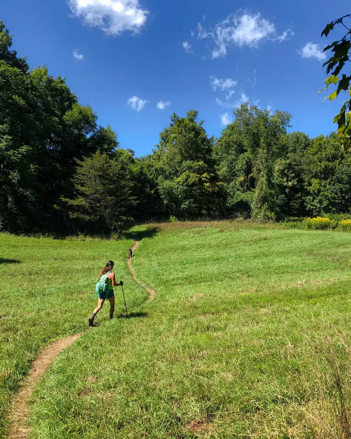 woman hiking up narrow dirt path in a green meadow on summer day with blue sky above and fluffy white clouds.