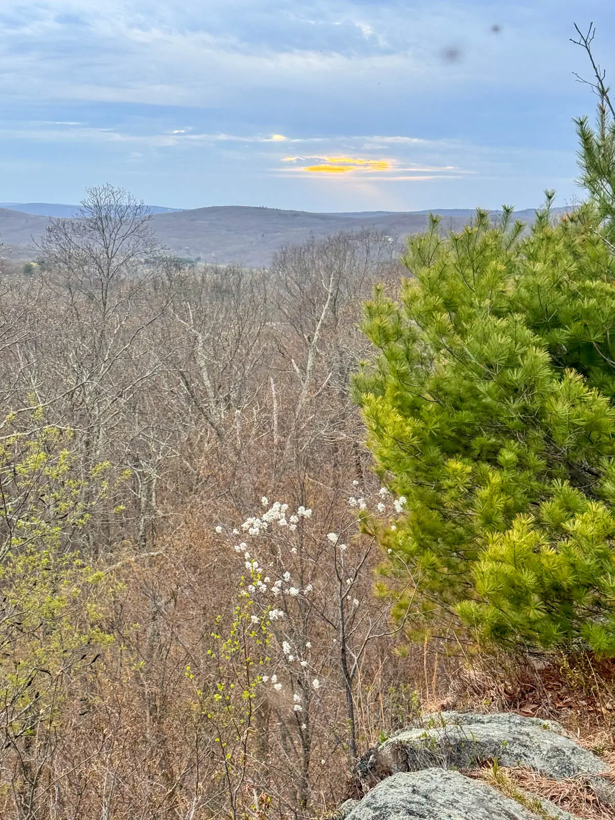 hike view of bare hills and trees with a cloudy blue sky.
