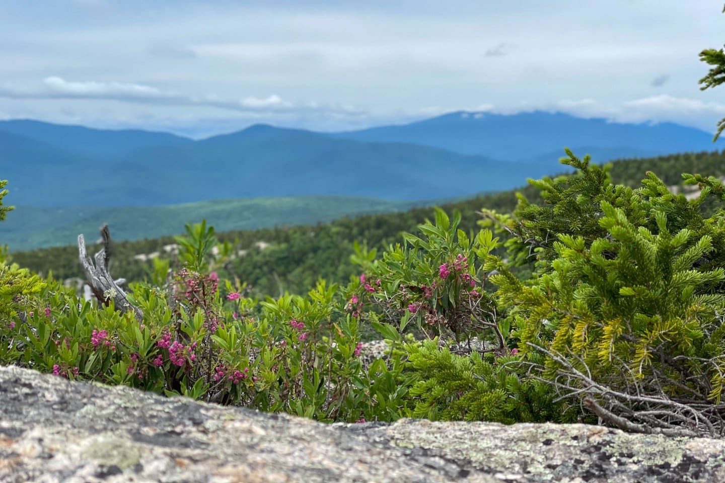 summer hiking picture atop mountain with green hills all around