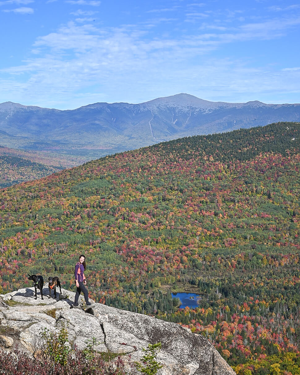 woman and two dogs on mountain top during fall in New Hampshire
