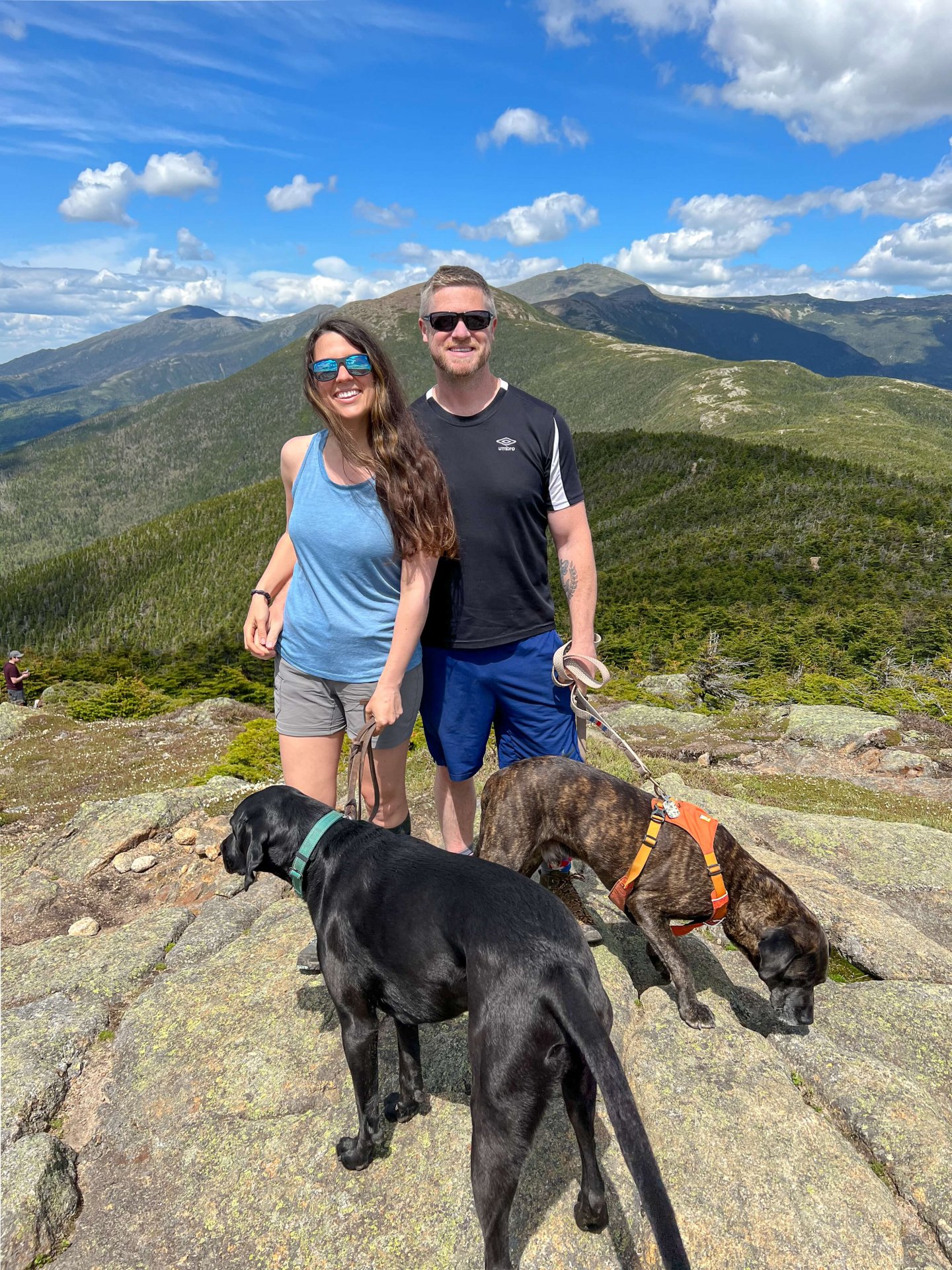 young couple and two dogs on mountain in New Hampshire