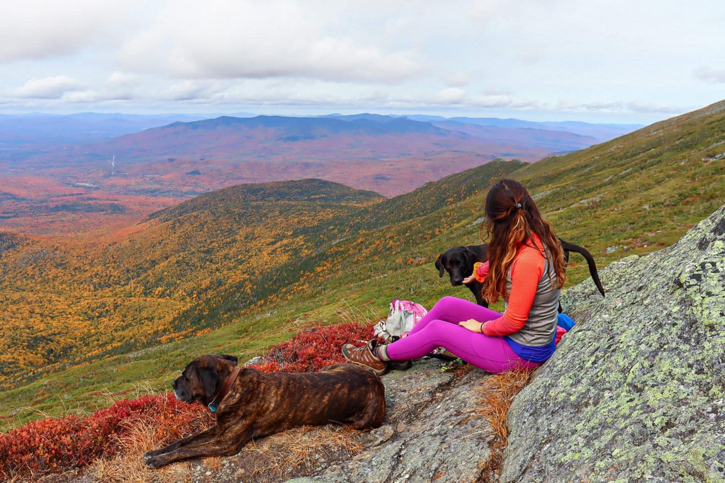 girl and two dogs atop mountain with colorful fall views
