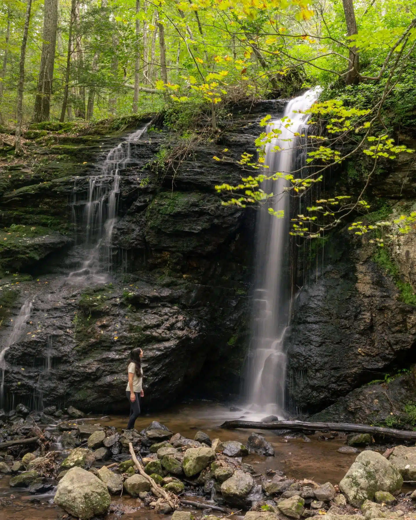 woman standing next to Connecticut water surrounded by green trees and leaves