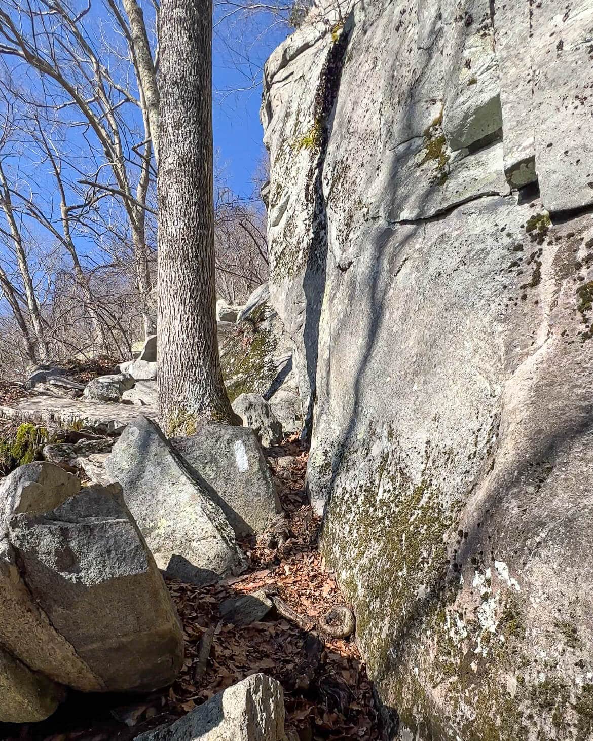 rock ledges hike with white blaze on the Appalachian Trail