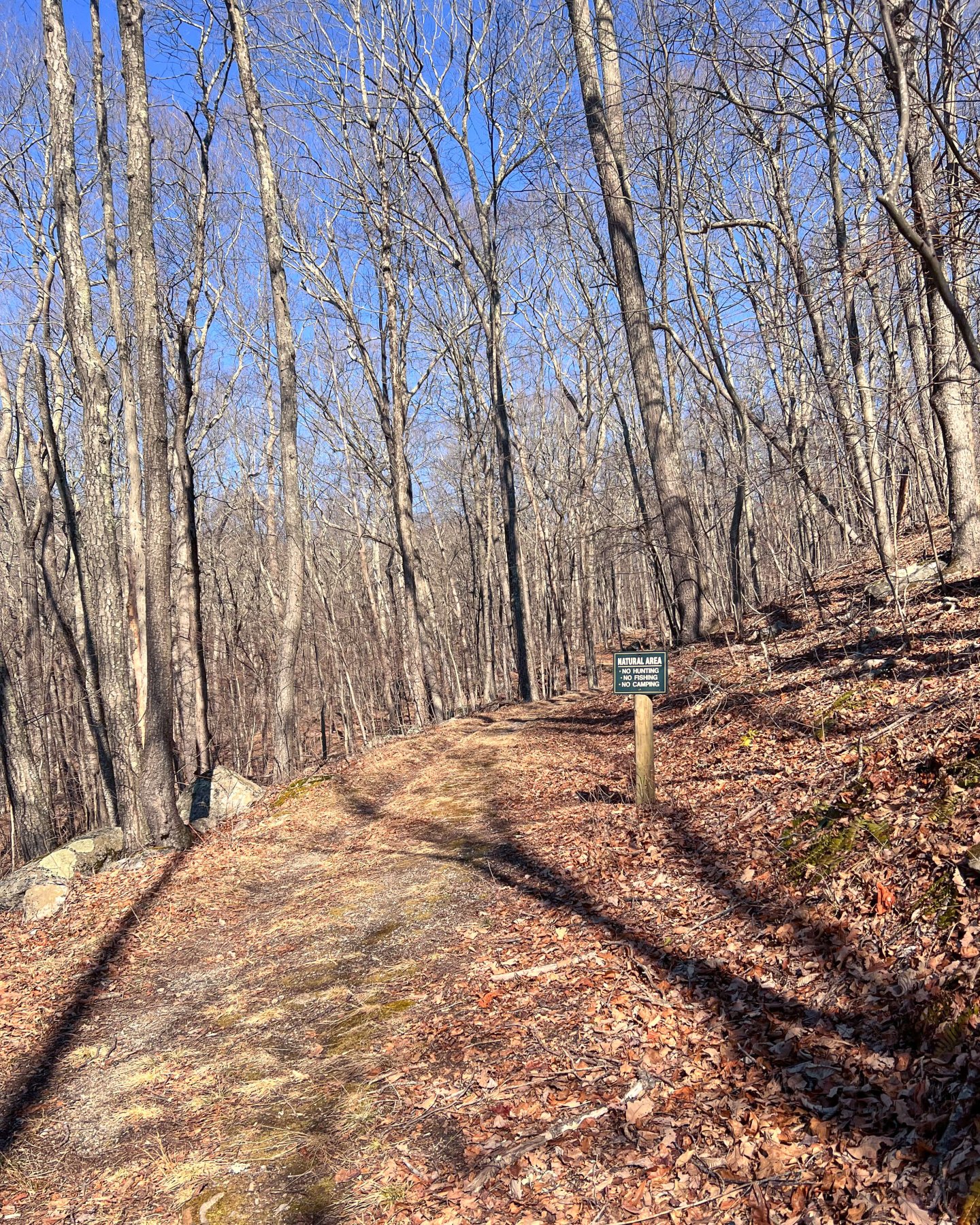 path to hike on on sunny day in the woods