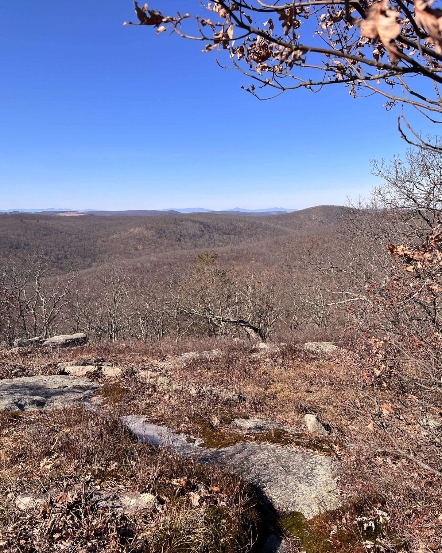 lookout from a mountain top in connecticut