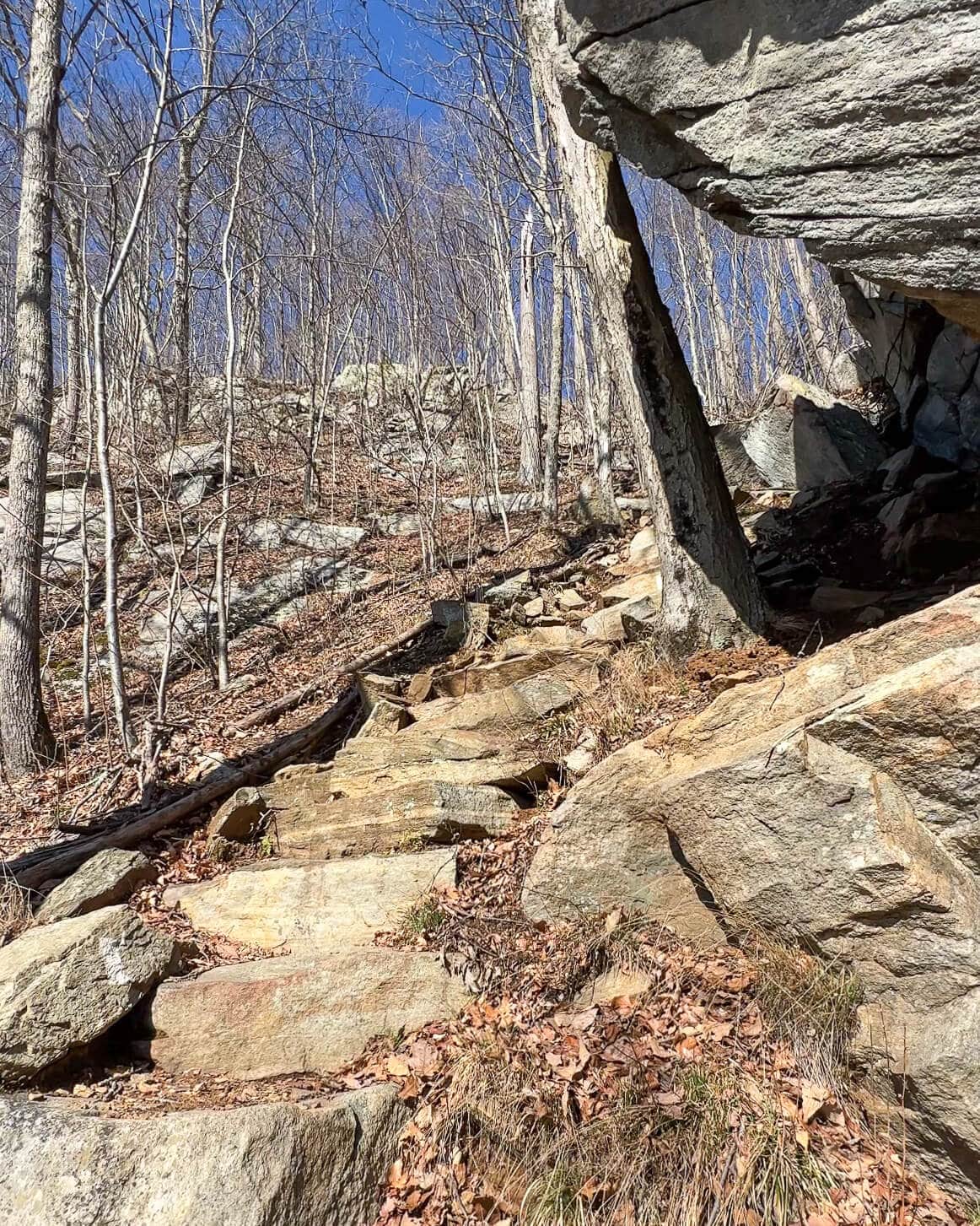 stone stairs going up Appalachian Trail in connecticut