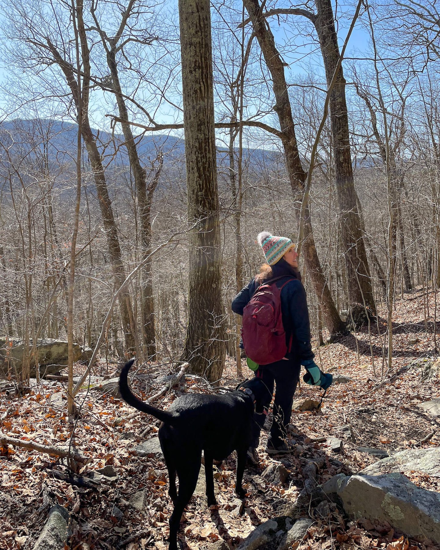 woman with backpack and black dog hiking along a trail in winter