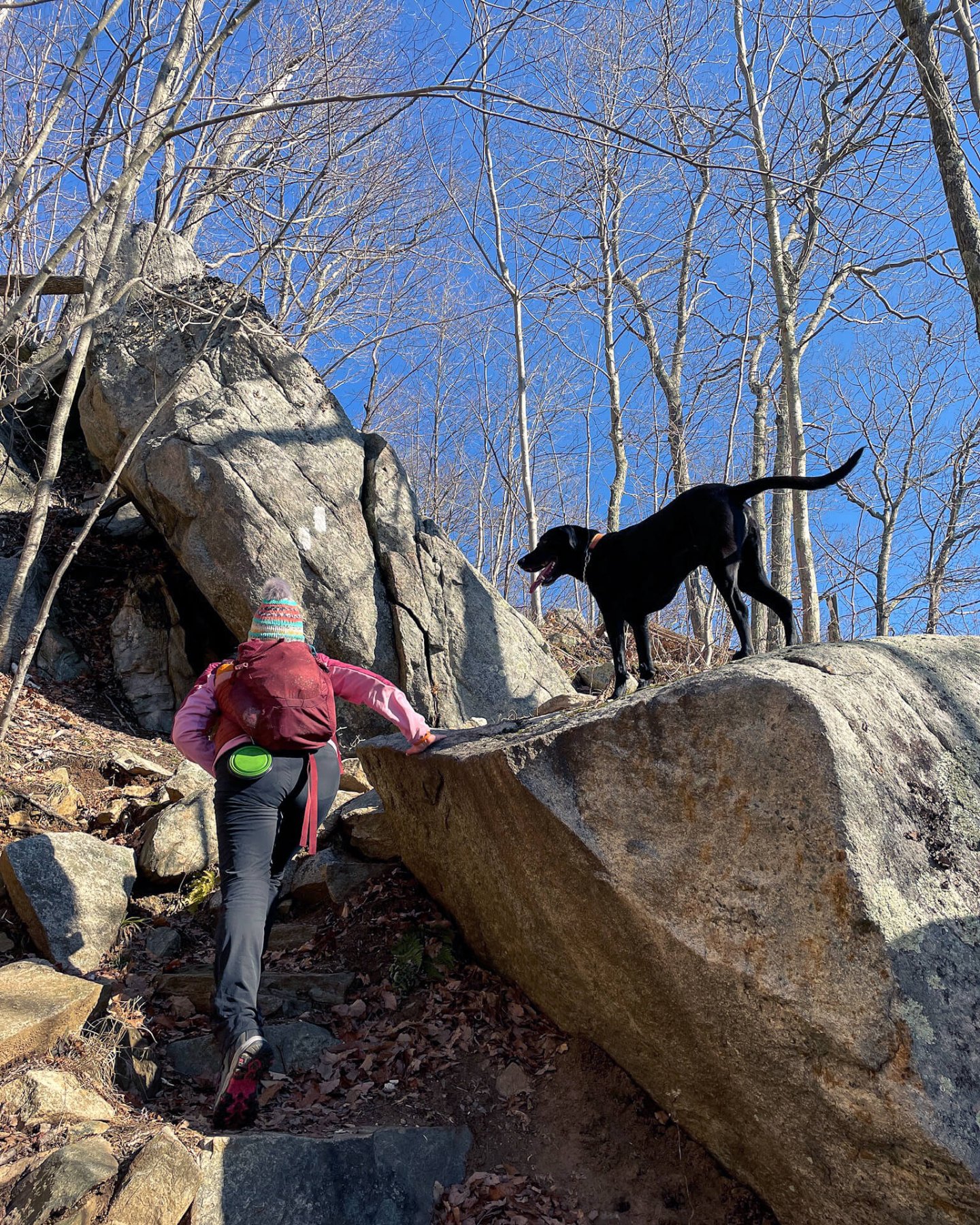 woman and black dog hiking with blue sky