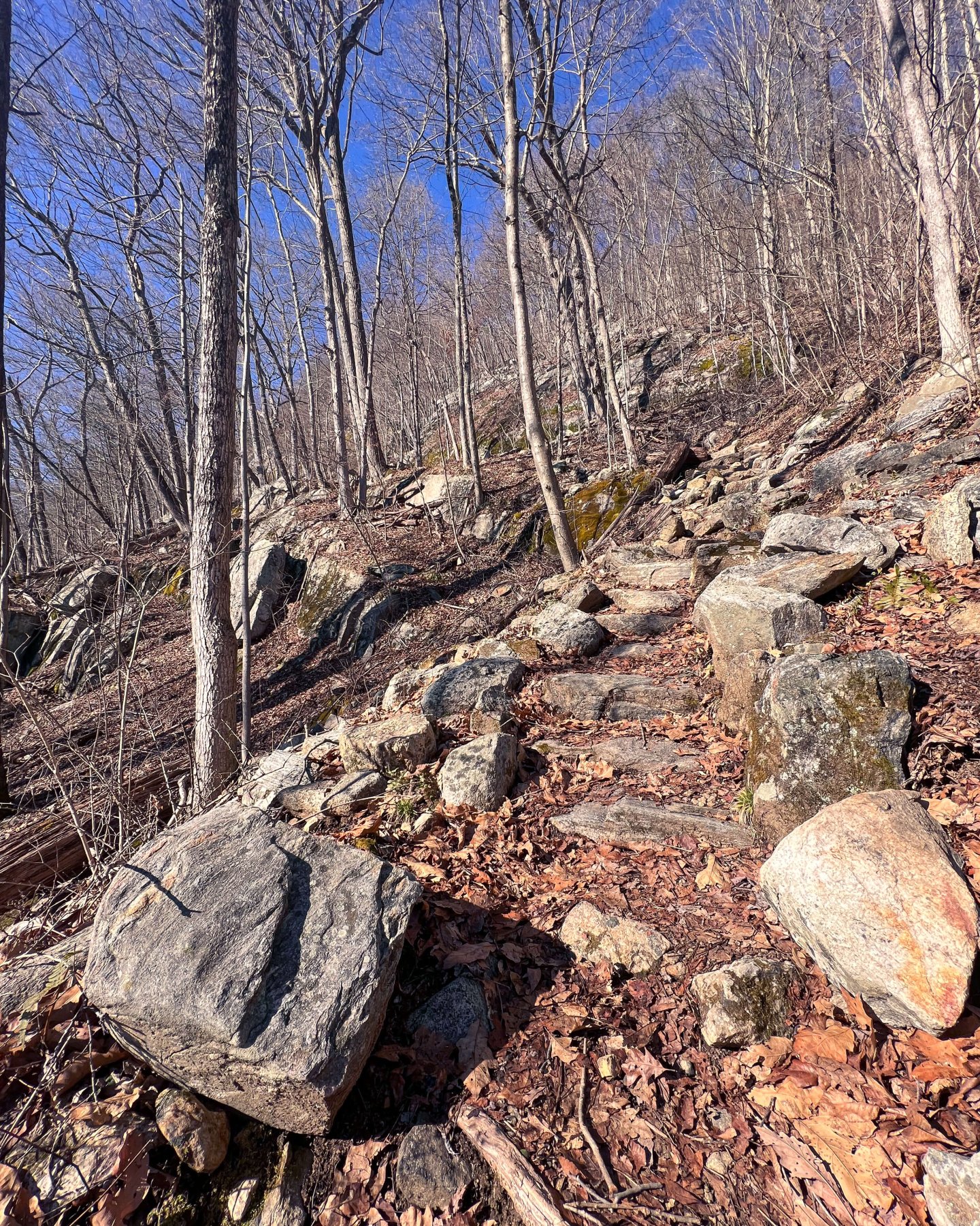 stone stairs on the Appalachian Trail