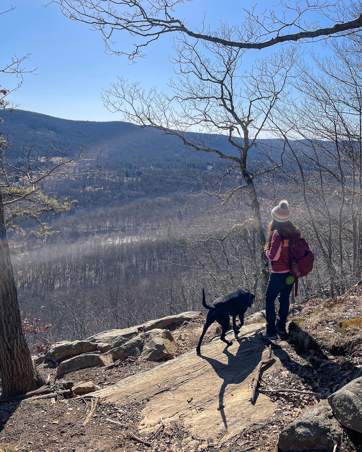 woman in snow hat and backpack on mountain top with black dog 