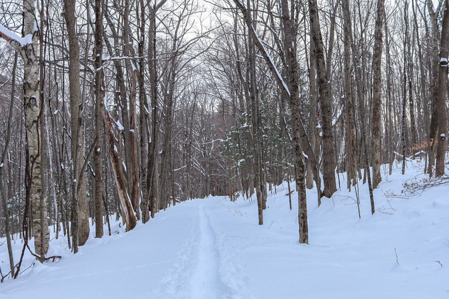 33 Activities to Do in the Berkshires this Winter (2023)