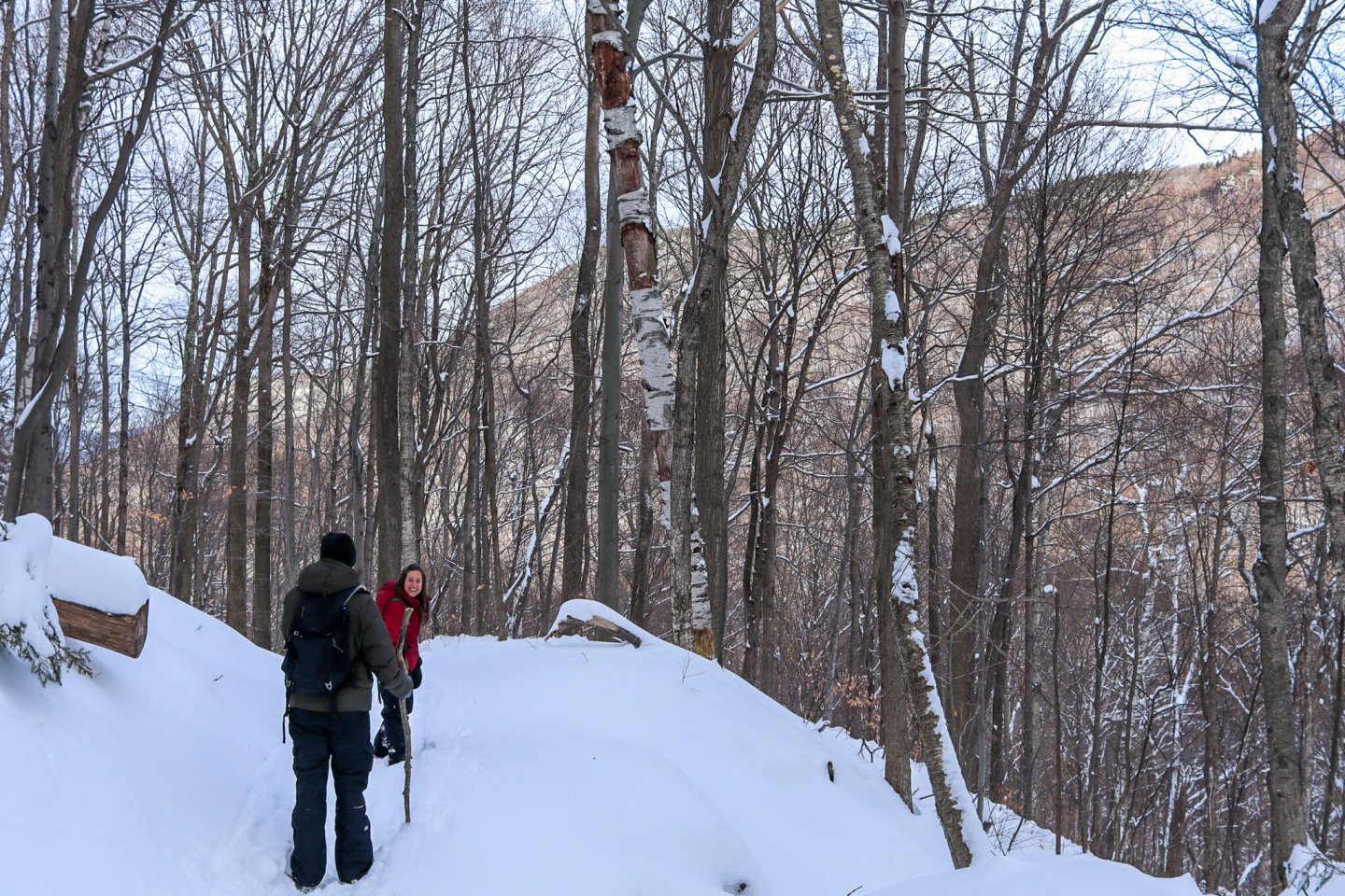 33 Activities to Do in the Berkshires this Winter (2023)