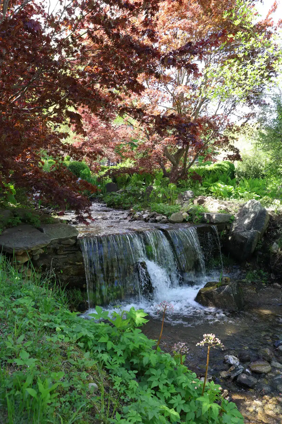 a small waterfall at hollister house gardens in washington connecticut.
