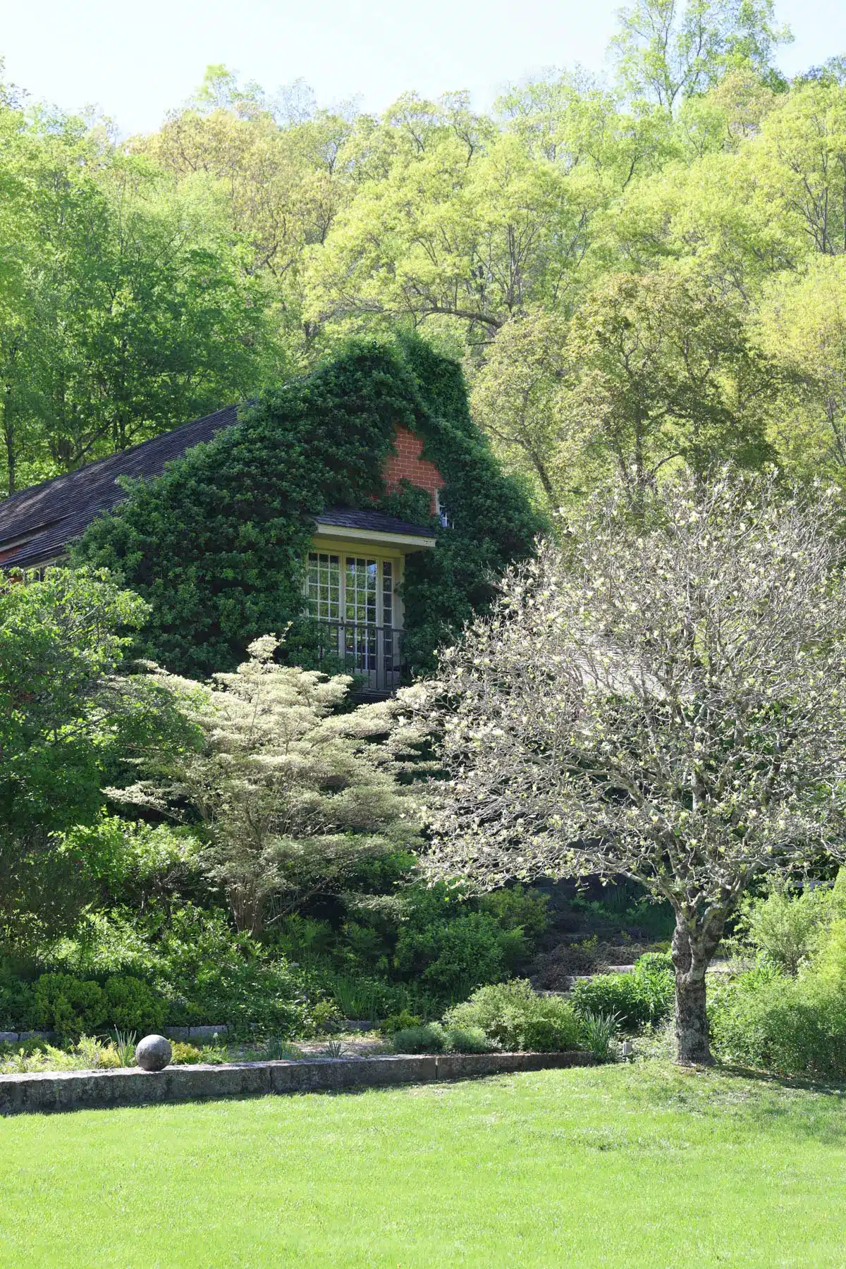 bright green spring photos of grounds at a mansion and a flower tree.