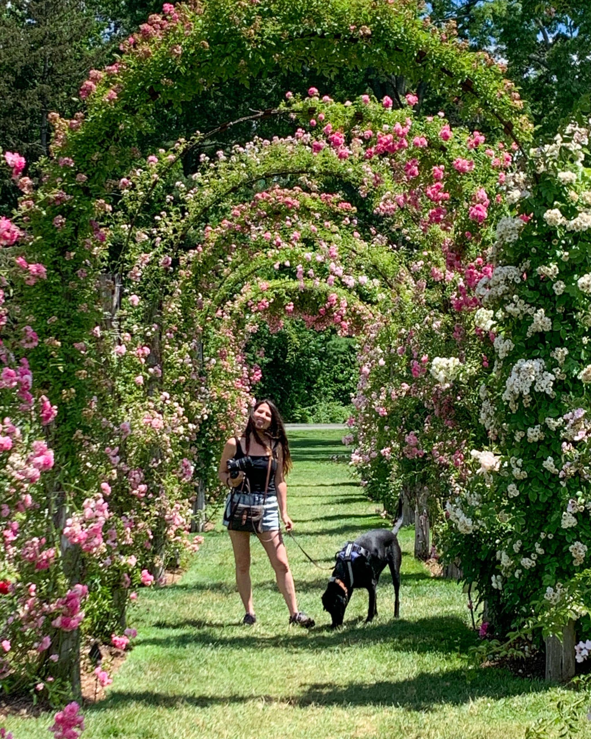 14 Flower Gardens in Connecticut to Visit This Spring