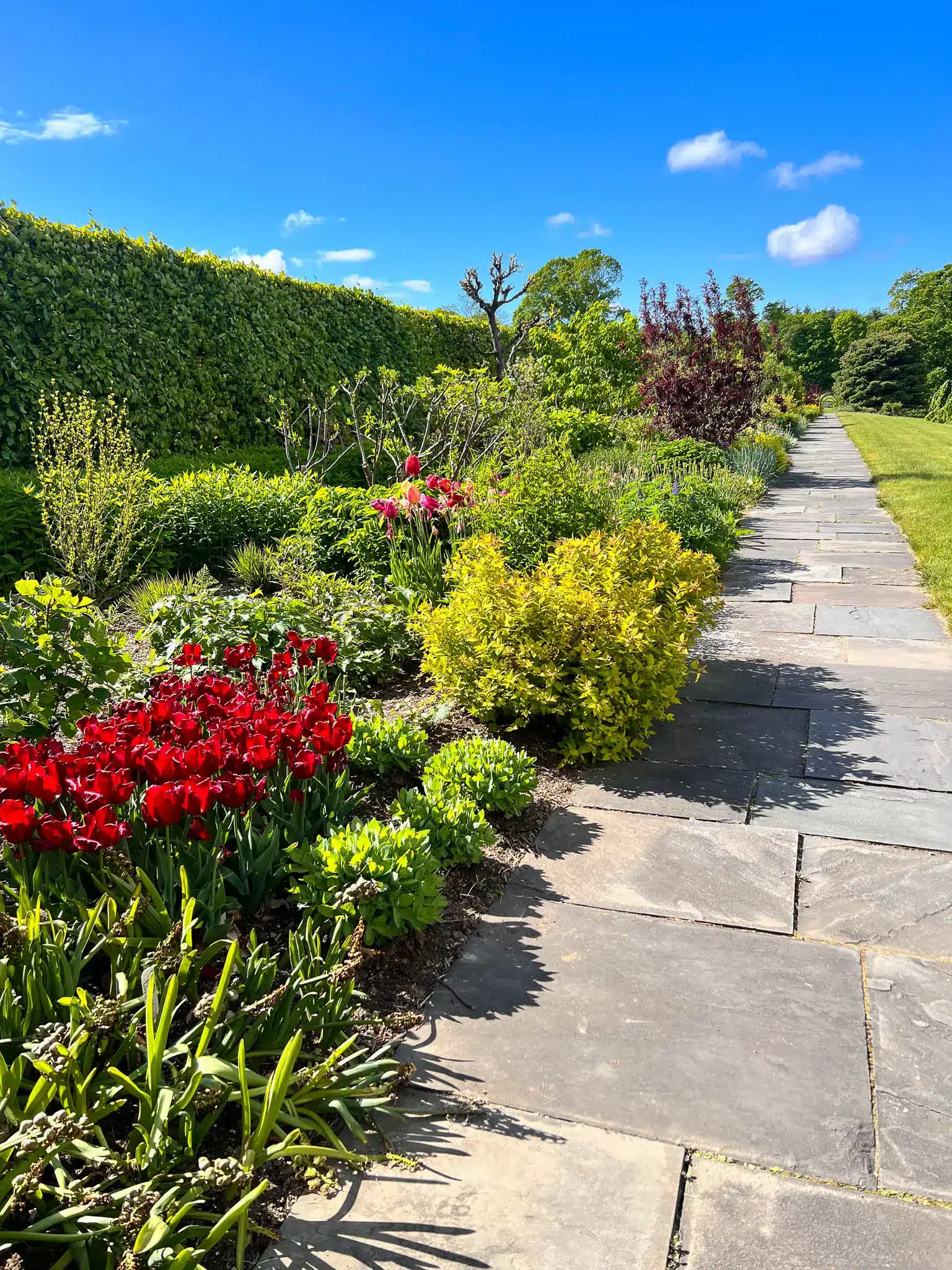 stone pathway leading through a flower garden in connecticut with bright blue sky and plants and flowers lining the path