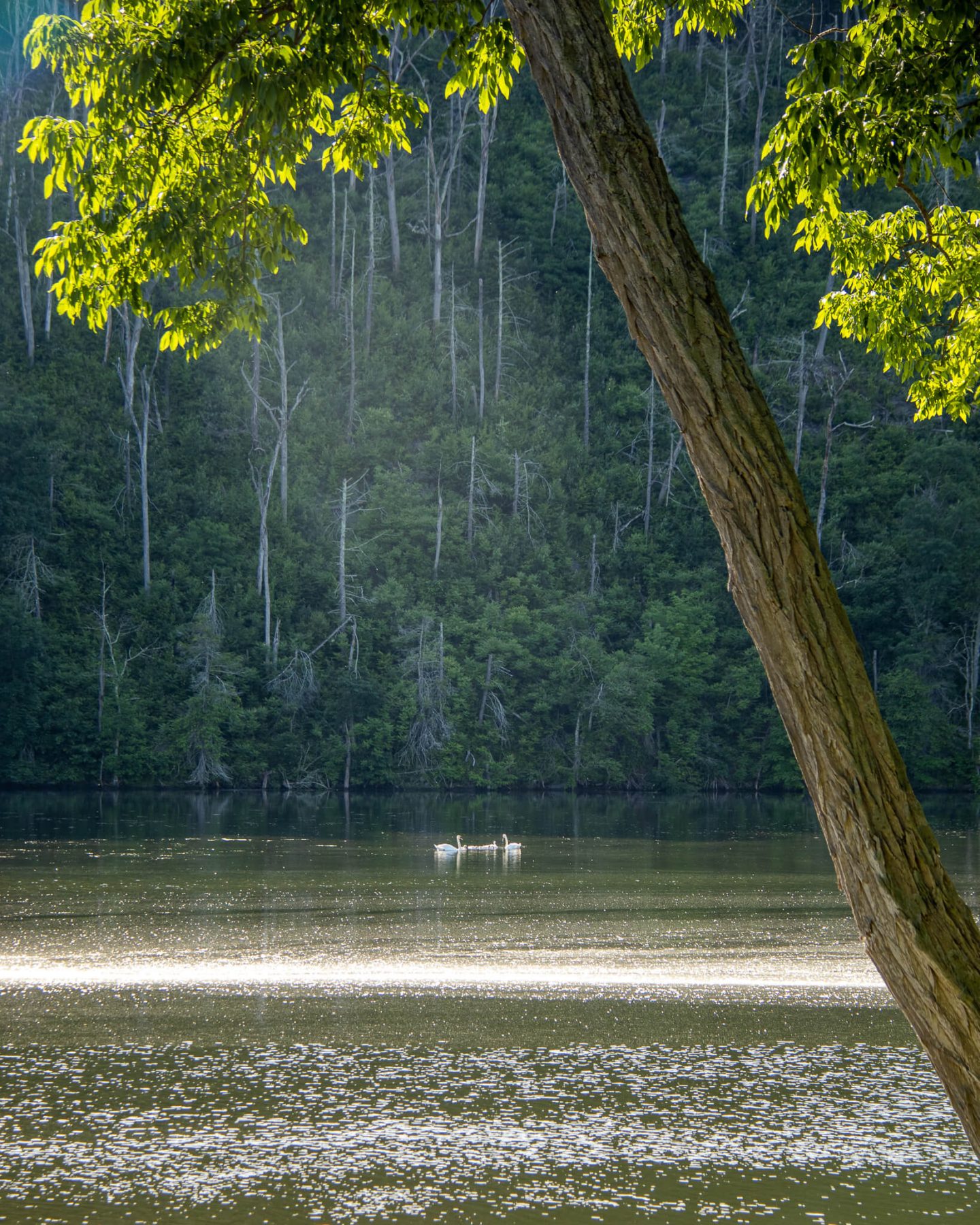 lovers leap state park