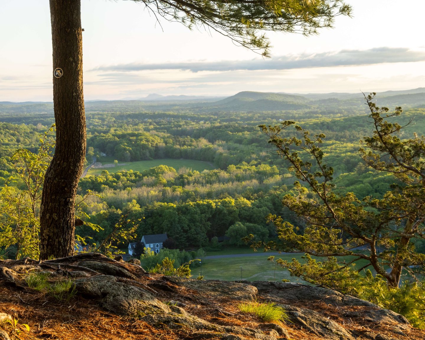 sunrise view on mountain with bright green trees below