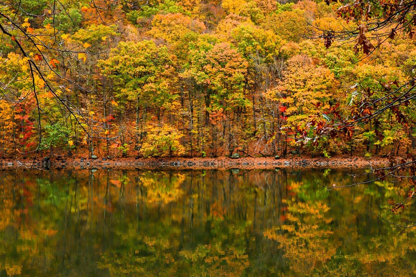 fall reflection of trees at a Connecticut reservoir