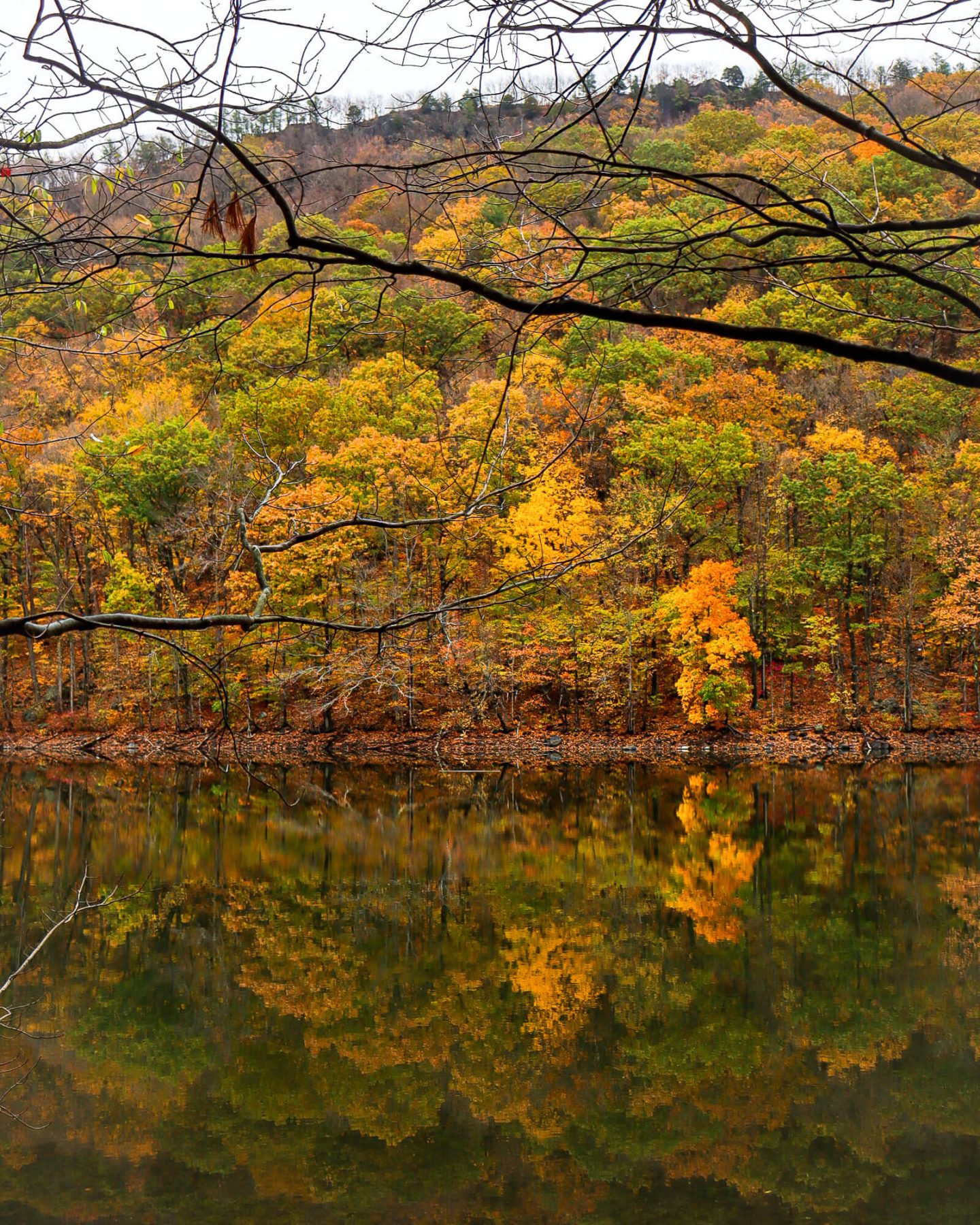 4 Beautiful Hikes in Giuffrida Park; Meriden, Connecticut