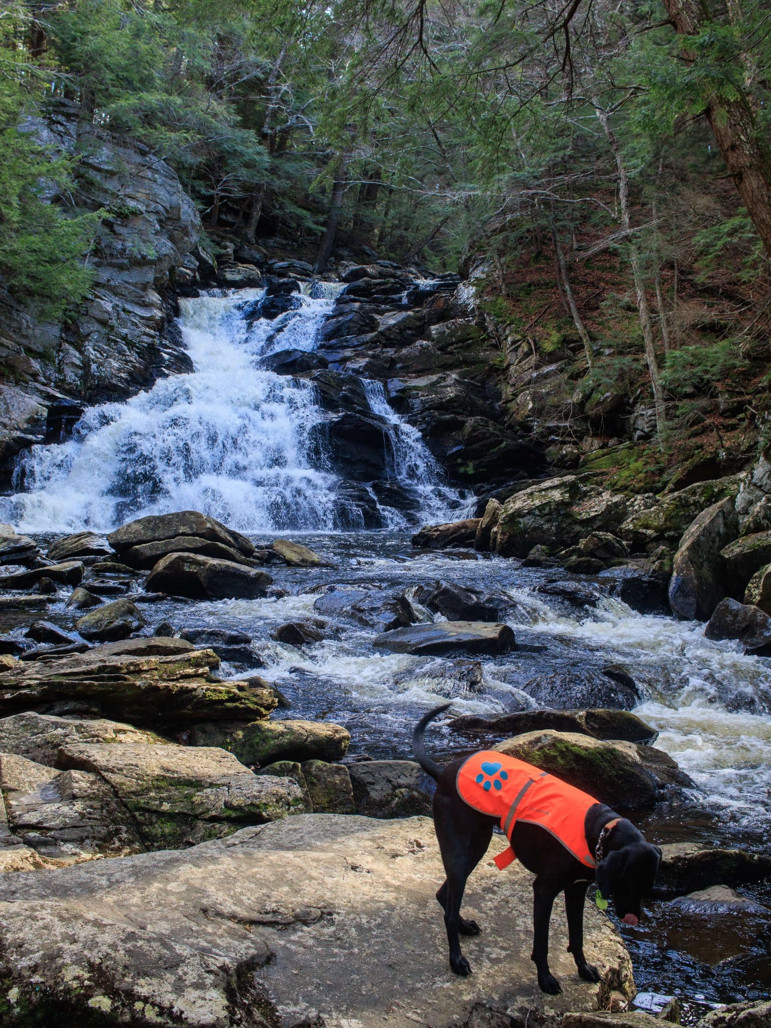 Top 21 Waterfalls in New England and New York (with Map!)
