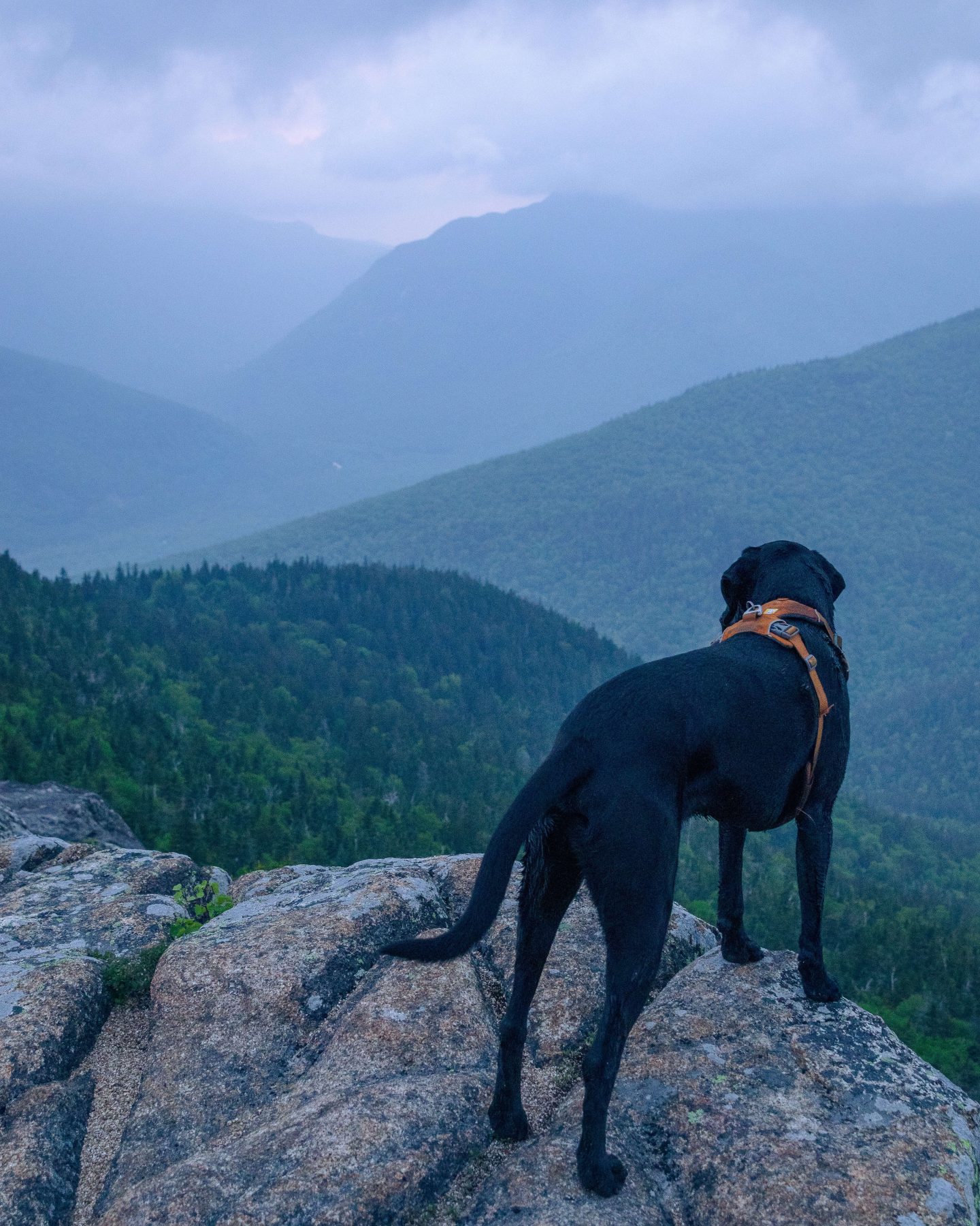 best hiking crawford notch