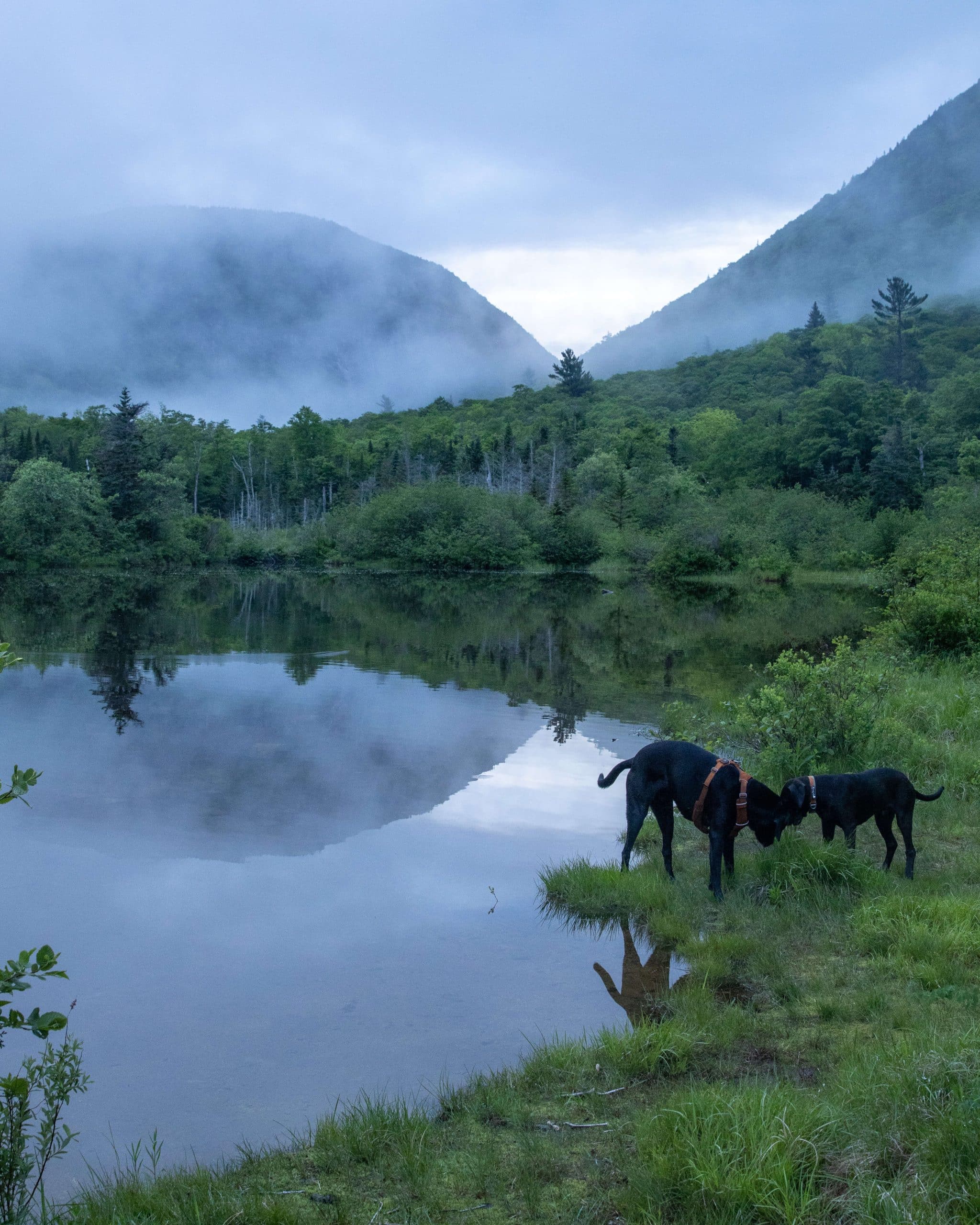 crawford notch