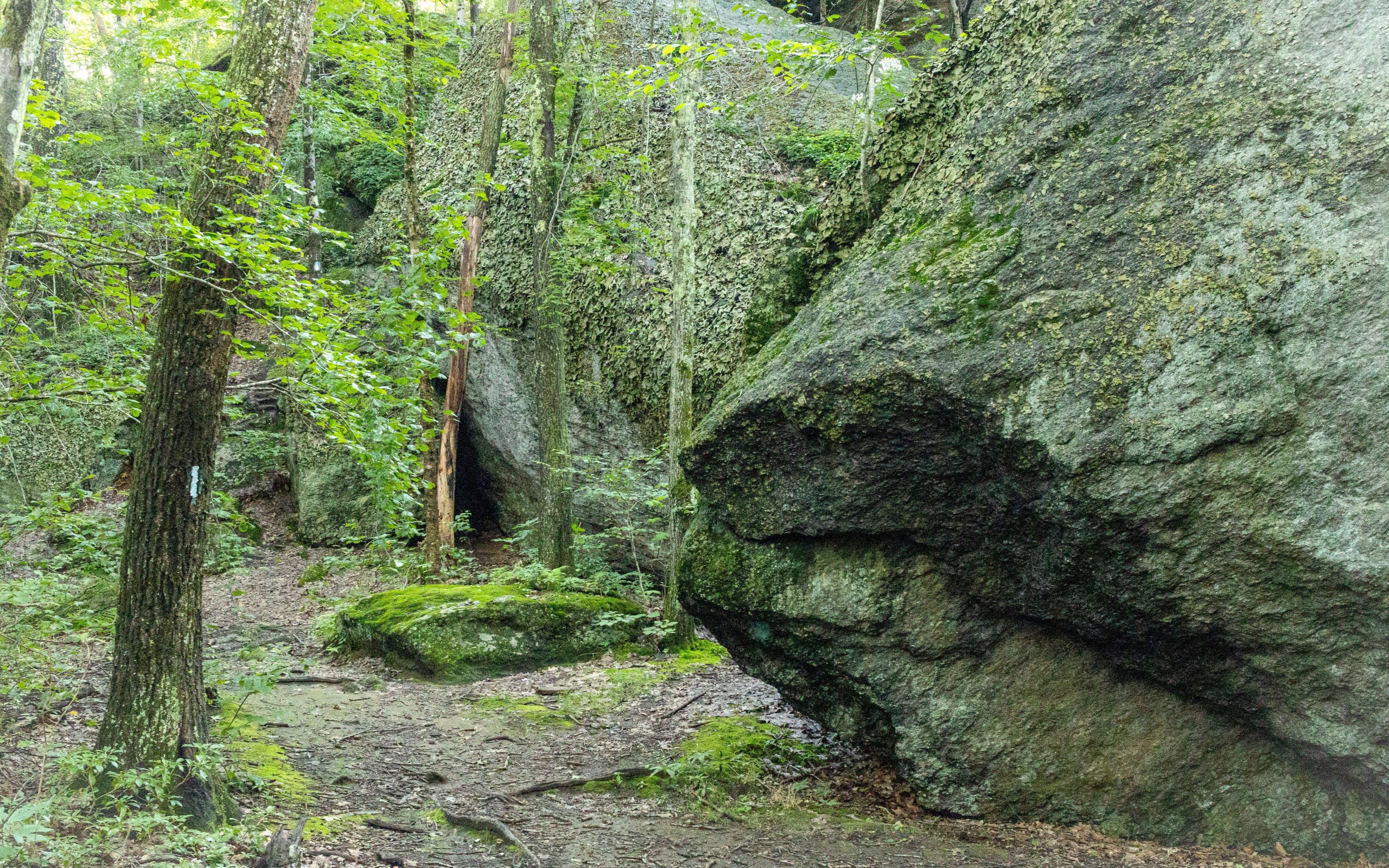haunted cave hike in connecticut in the summer