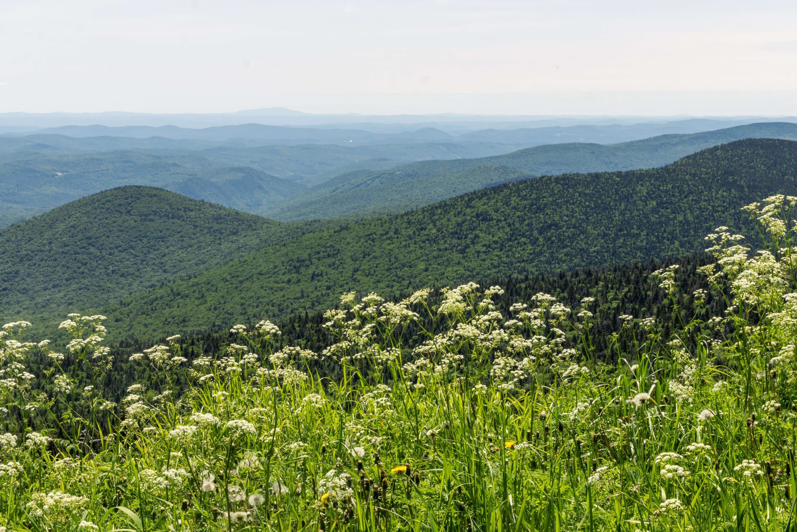 The Best Hikes and Trails in Woodstock, Vermont; All Levels