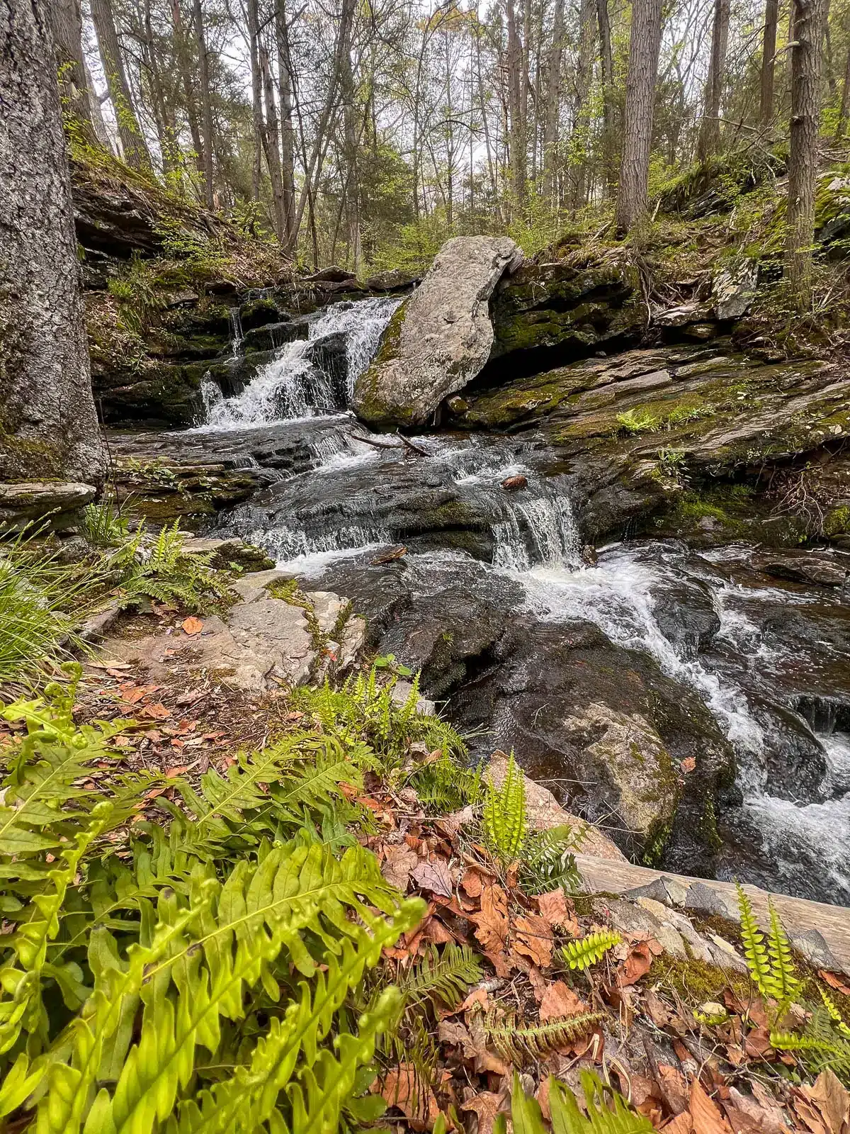 waterfall in connecticut surrounded by spring greenery at day pond falls in connecticut.
