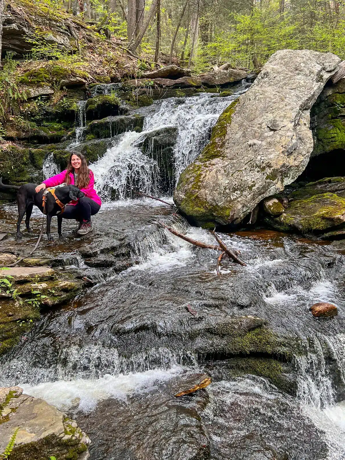 woman in bright pink rain jacket with black dog in front of a waterfall in connecticut.