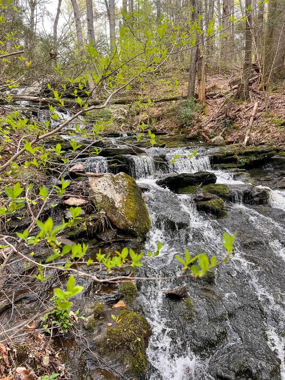 waterfall in connecticut surrounded by spring greenery at day pond falls in connecticut.