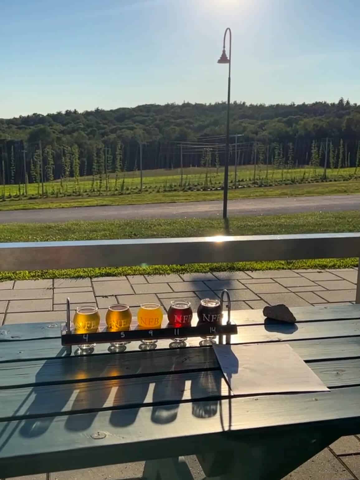 flight of beers on picnic table outside with bright sun shining in backgroound at norbrook winery in connecticut.