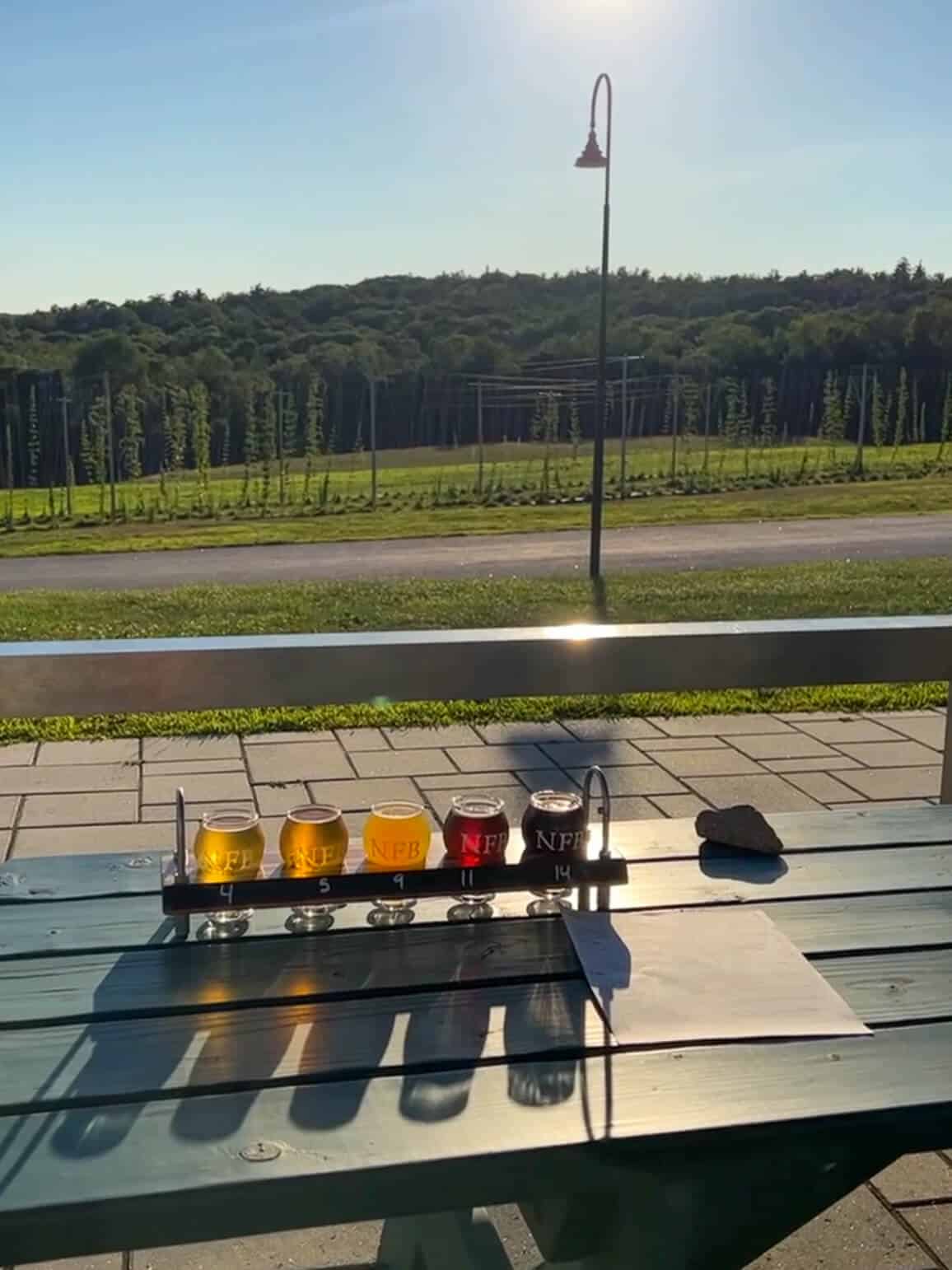 sunny outdoor view at connecticut brewery