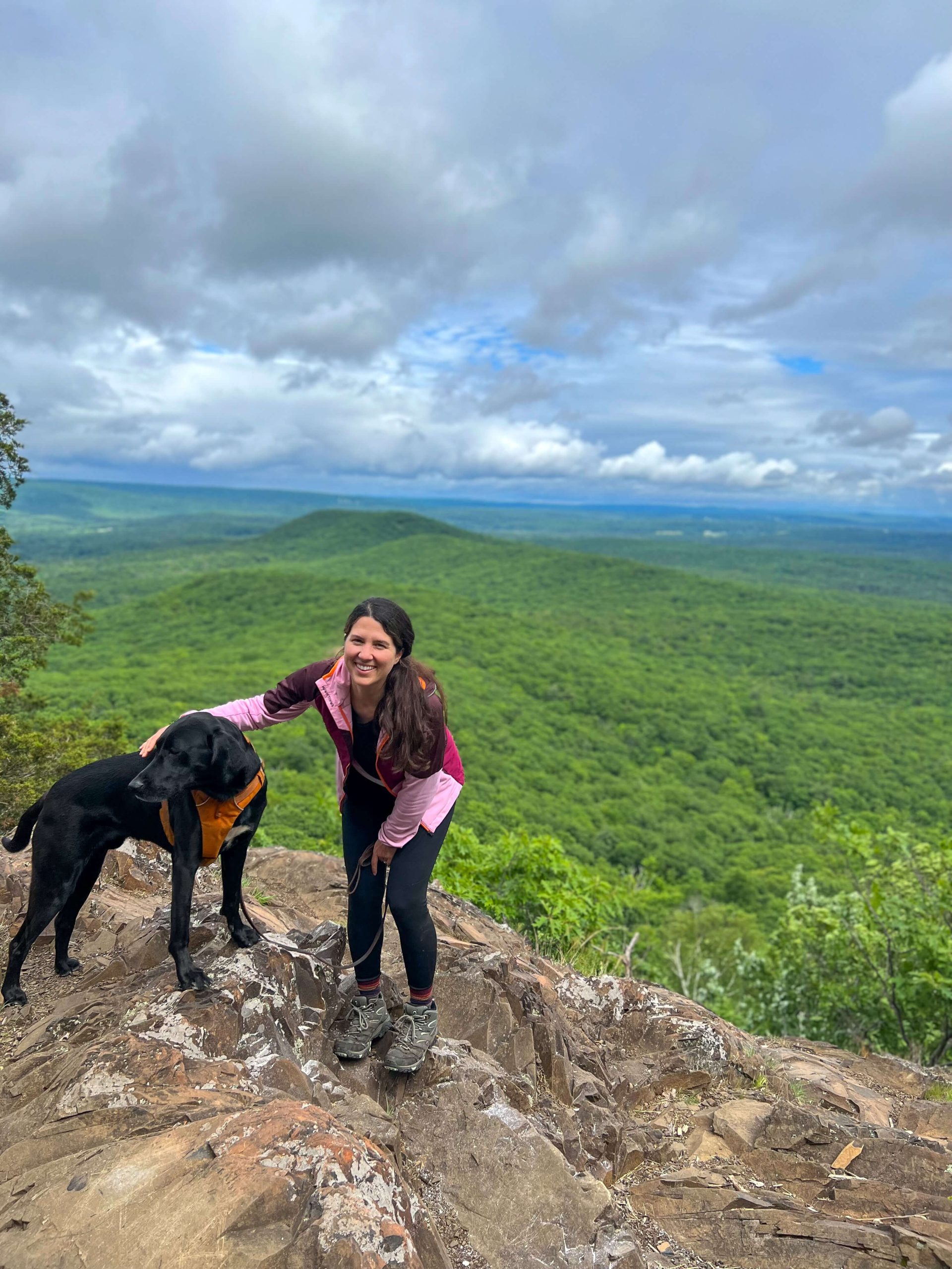 How to Start Hiking with Your Dog; Best Leash, Harness, & Advice!