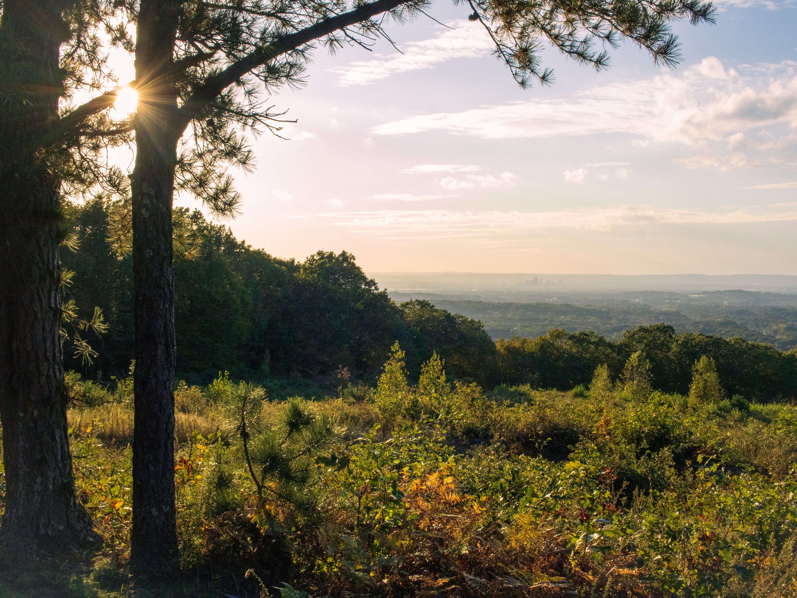 Case Mountain Hike Guide, Manchester, Connecticut