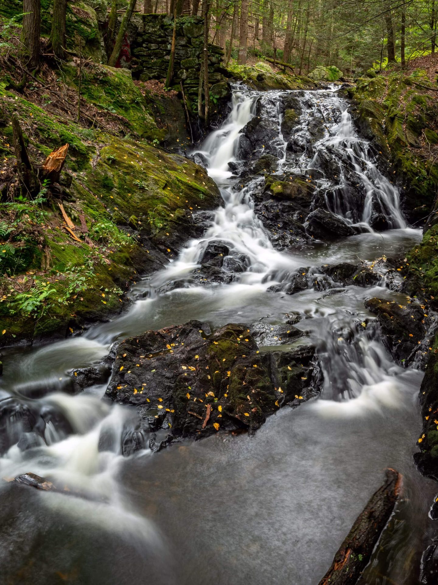 a lesser known waterfall in connecticut in summer surrounded by green forest and leaves