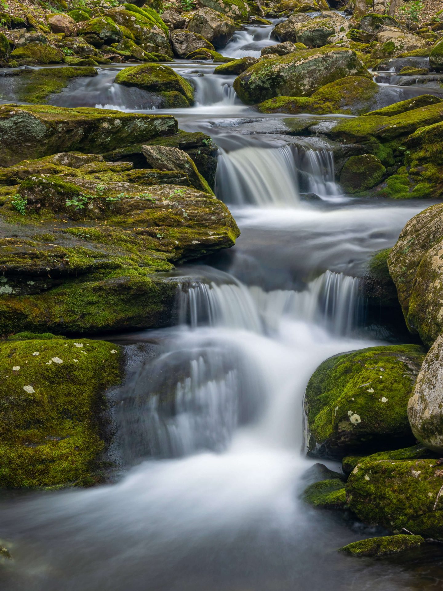 a long exposure shot of a lesser known waterfall in connecticut in summer surrounded by rocks with green moss