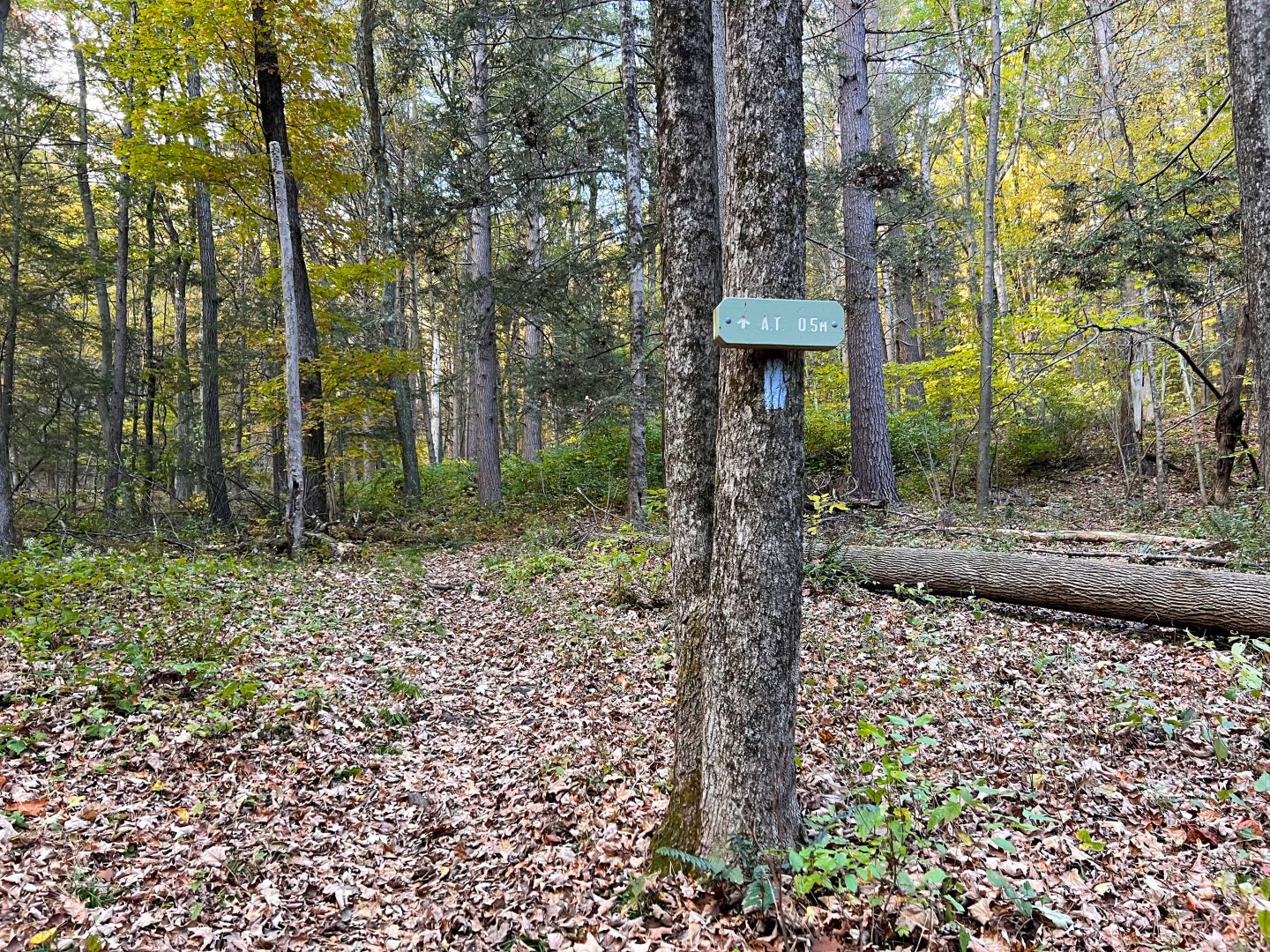 trail to rands view in connecticut