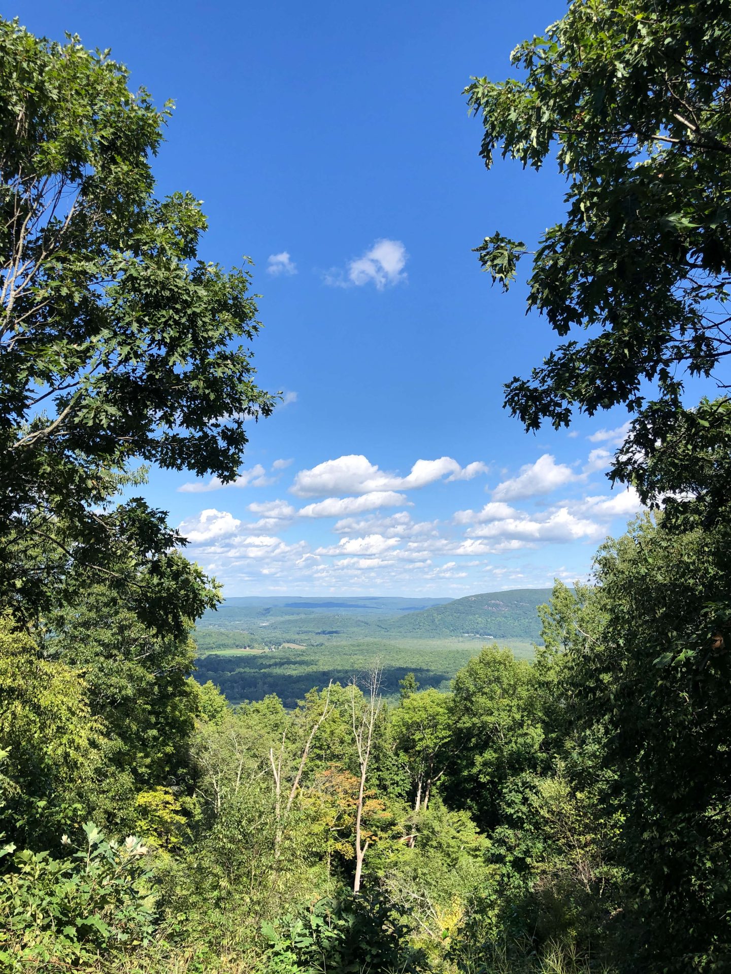 mount prospect in summer on appalachian trail in connecticut