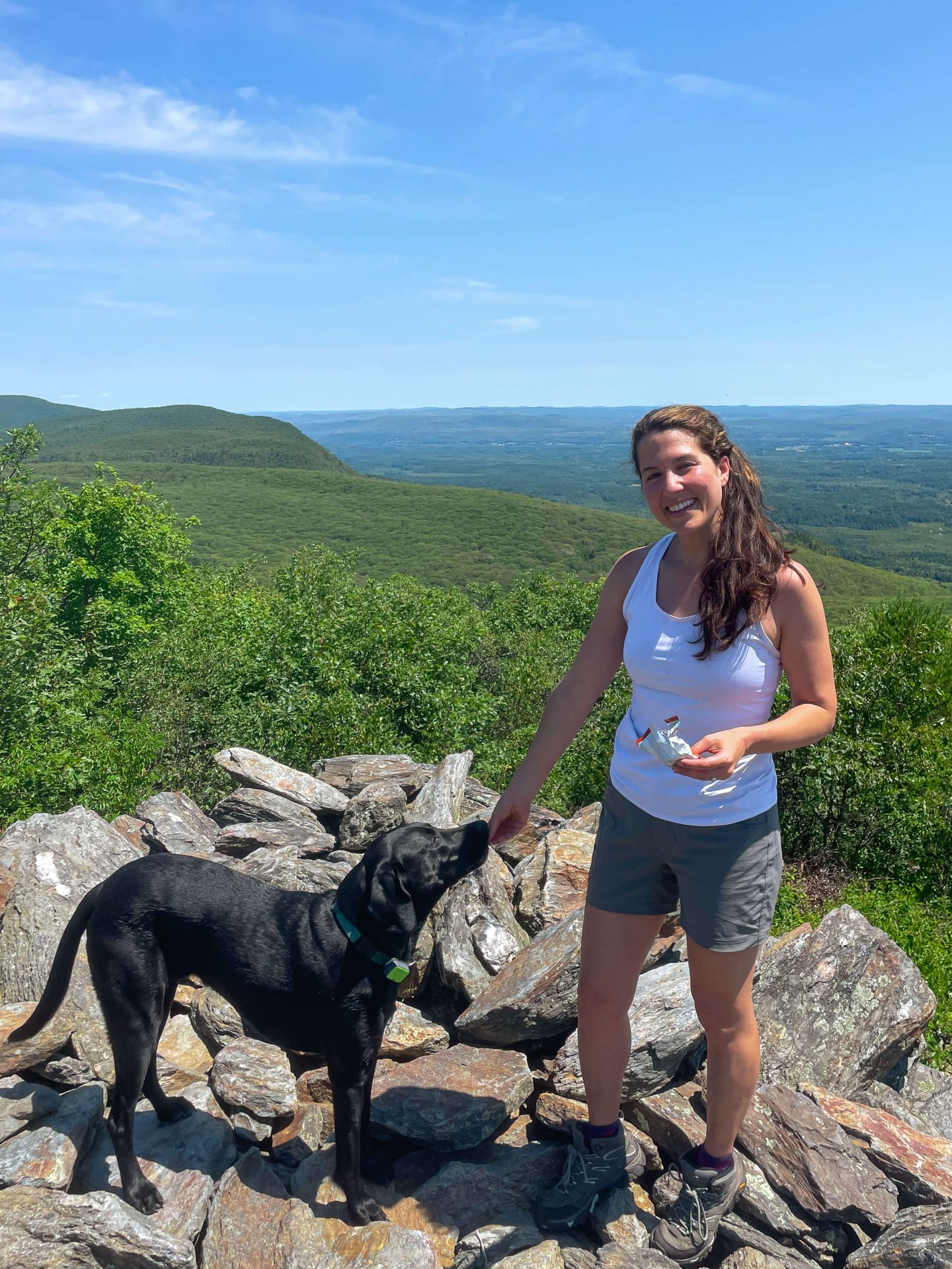 woman and dog on top of bear mountain in connecticut in summer