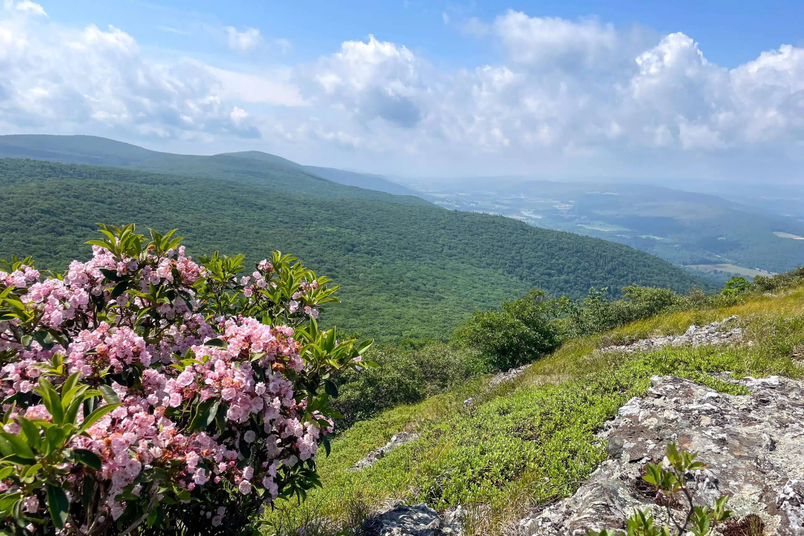 the best hike in the berkshires alander mountain in the summer